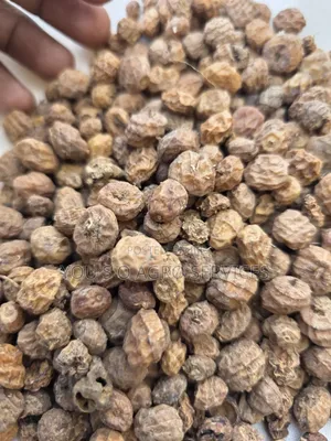 Big Tiger Nuits