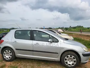 Peugeot 307 2007 Gray
