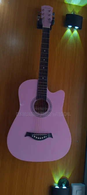 Acoustic Box Guitar