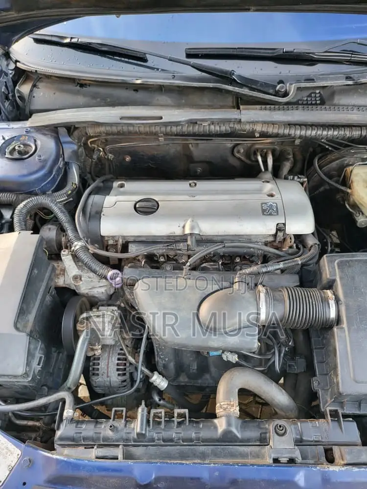 Peugeot 406 2004 Blue