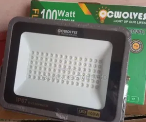 100watt Flood Light