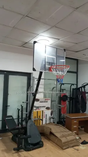 Standard Basketball Hoop and Stand (BS209)