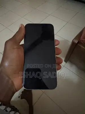 Apple iPhone 15 Pro Max 256 GB Silver