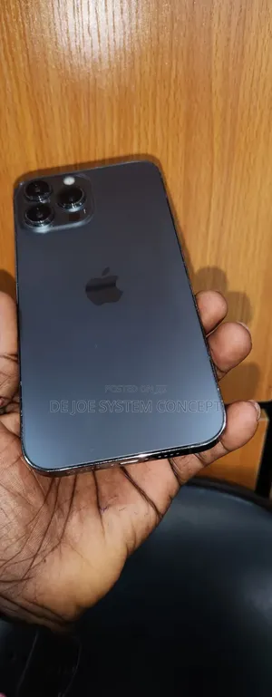Apple iPhone 13 Pro Max 256 GB Gray
