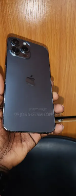 Apple iPhone 13 Pro Max 256 GB Gray