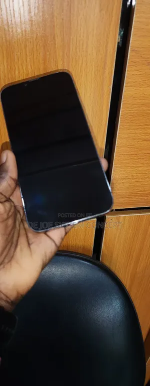 Apple iPhone 13 Pro Max 256 GB Gray