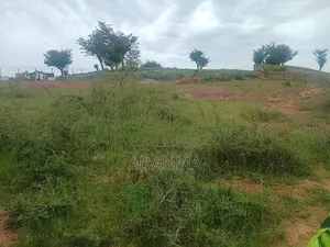 100 Hectares at Wasa