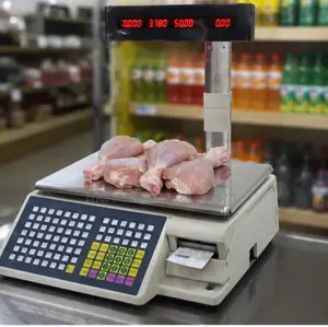 Electric Computing Scale With Printer
