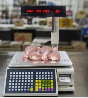 Electric Computing Scale With Printer