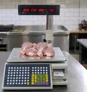Electric Computing Scale With Printer