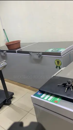 500l Scanfrost Inverter Freezer