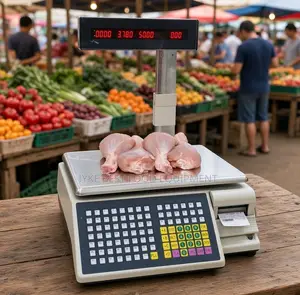 Electric Computing Scale With Printer