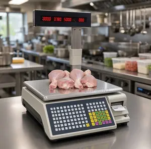 Electric Computing Scale With Printer