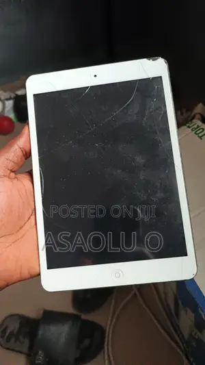 Apple iPad mini Wi-Fi + Cellular 16 GB Silver