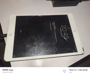 Apple iPad mini Wi-Fi + Cellular 16 GB Silver