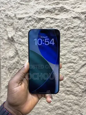 Apple iPhone 15 Pro Max 256 GB Gray