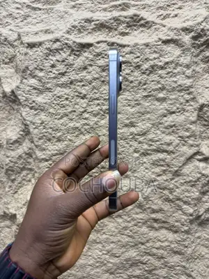 Apple iPhone 15 Pro Max 256 GB Gray