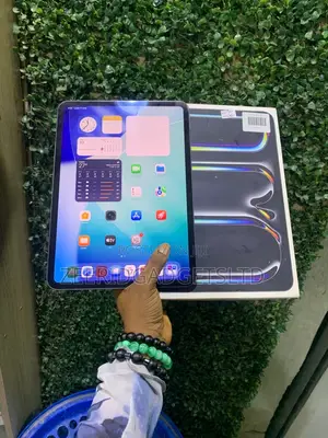 Apple iPad Pro 11 (2024) 256 GB Gray