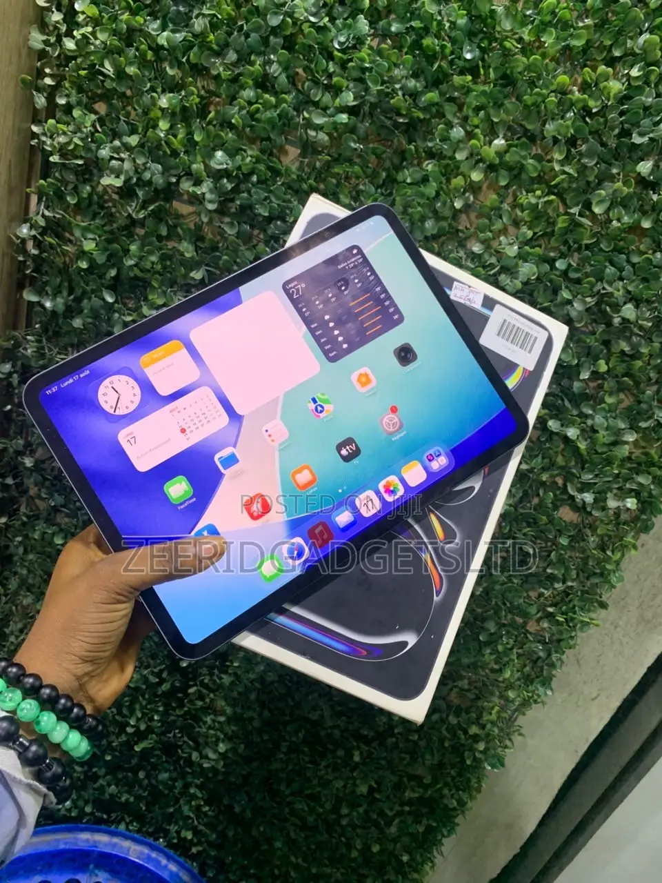 Apple iPad Pro 11 (2024) 256 GB Gray