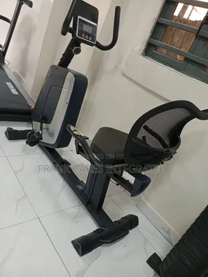 Heavy Duty Recumbent Bike With Back Support