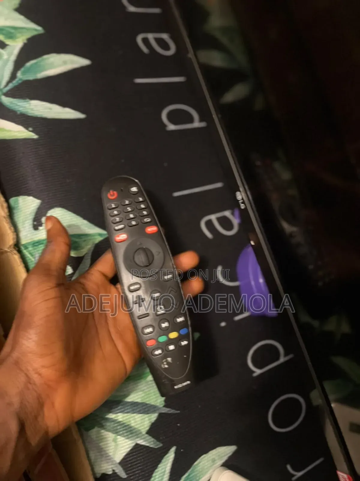 Television