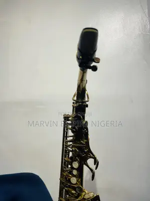 Professional Premier England Alto Saxophone