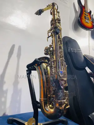 Professional Premier England Alto Saxophone