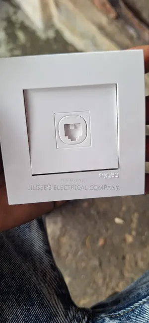 Schneider Telephone Socket