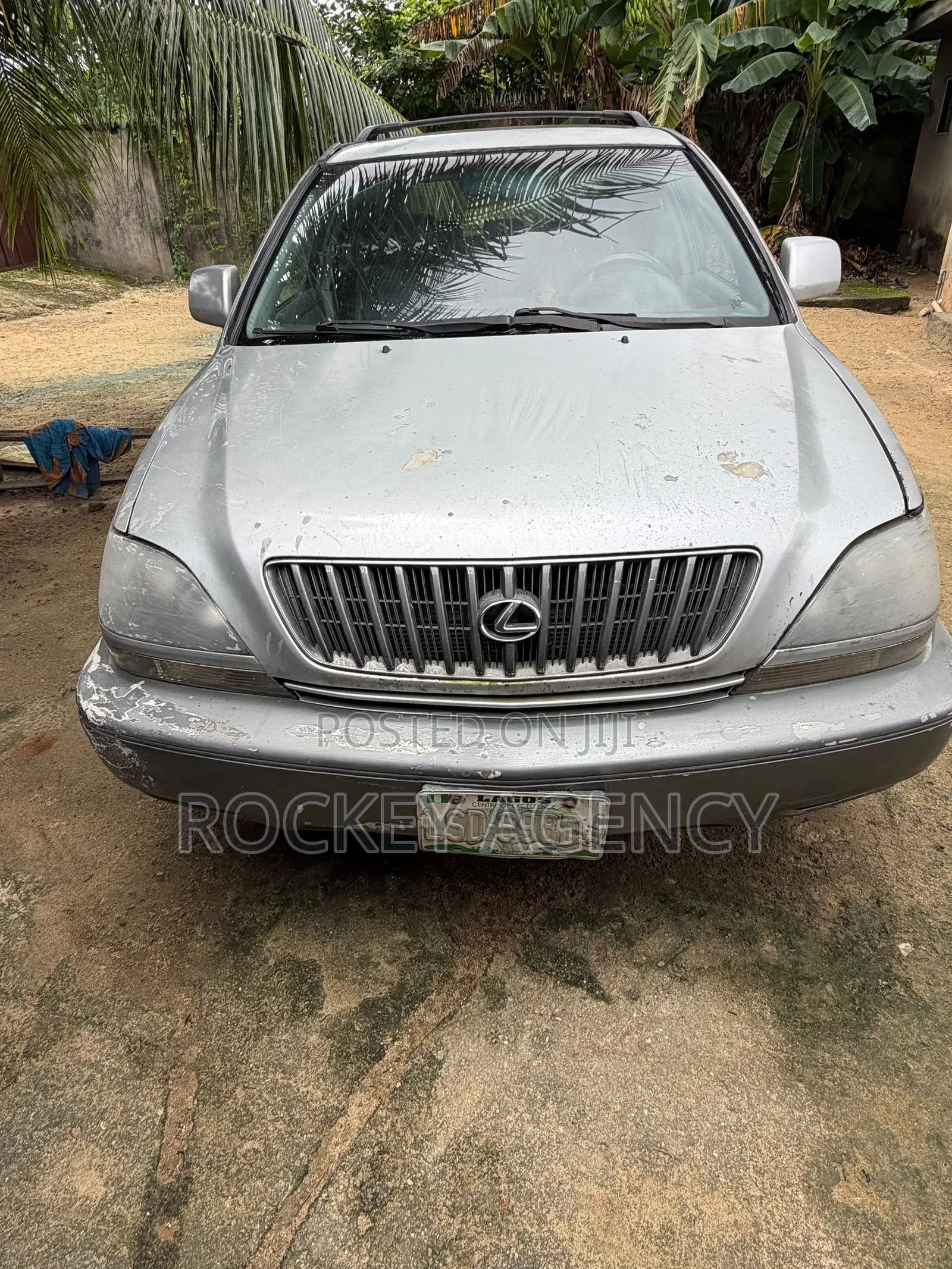 Lexus RX 2003 Gray