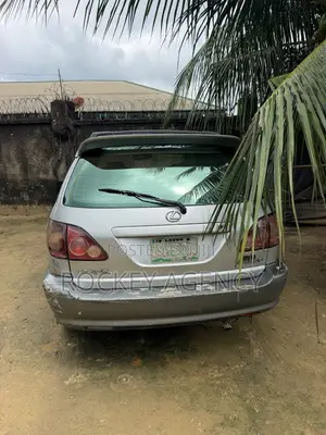 Lexus RX 2003 Gray