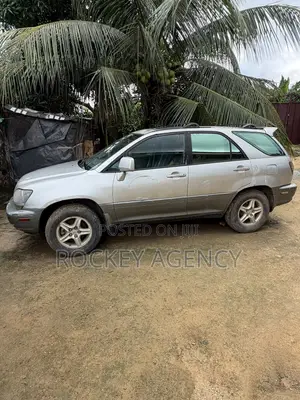 Lexus RX 2003 Gray