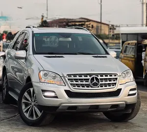 Mercedes-Benz M Class 2010 Silver