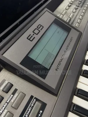 Roland E09 Arranger Workstation.