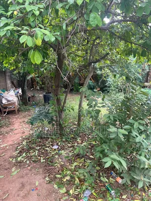 A Plot of Land Measuring 400SQM at Gated Close in Gowon Estate.