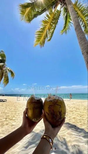 Mauritius Sponsorship Visa