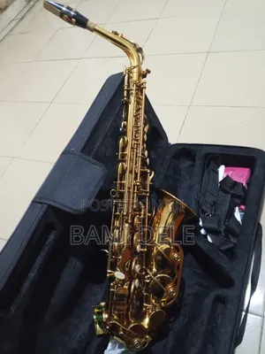 Musical Instrument