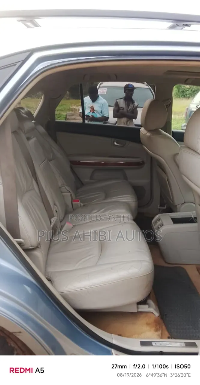 Lexus RX 2010 Blue