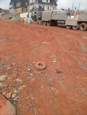 Cement Dangote and Lafarge Cement