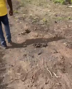 Sale of Two Plot of Land From a One Acre. #2,000,000 Per Plot