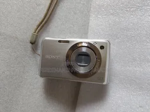 Sony Digital Photo Video Camera for Vintage Passport Snapping