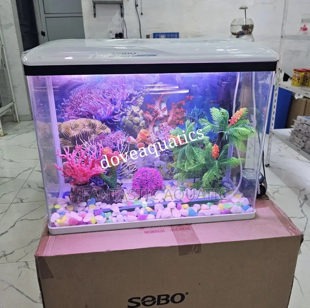 64 Litres Aquarium Tank