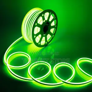 Green Neon Rop Light Carton