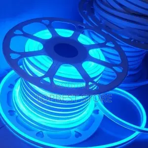 Blue Neon Rop Light Carton