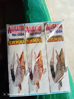 Mai Kada Alligator