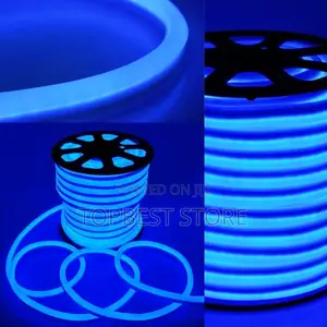Blue Neon Rop Light Carton