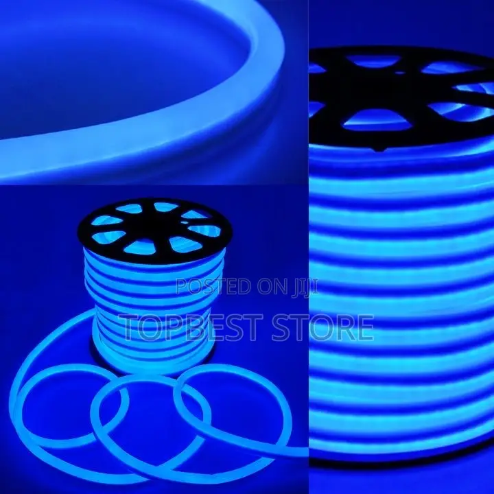 Blue Neon Rop Light Carton