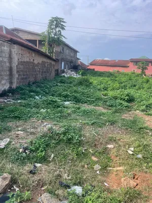 2 Plots of Land at Iremo, Lagere, Ile-Ife.