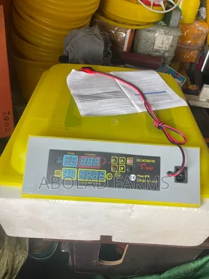 56 Egg Incubator
