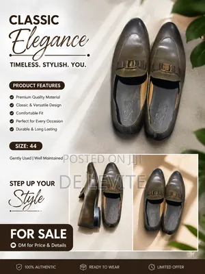 Salvatore Ferragamo Shoe (Size 44)