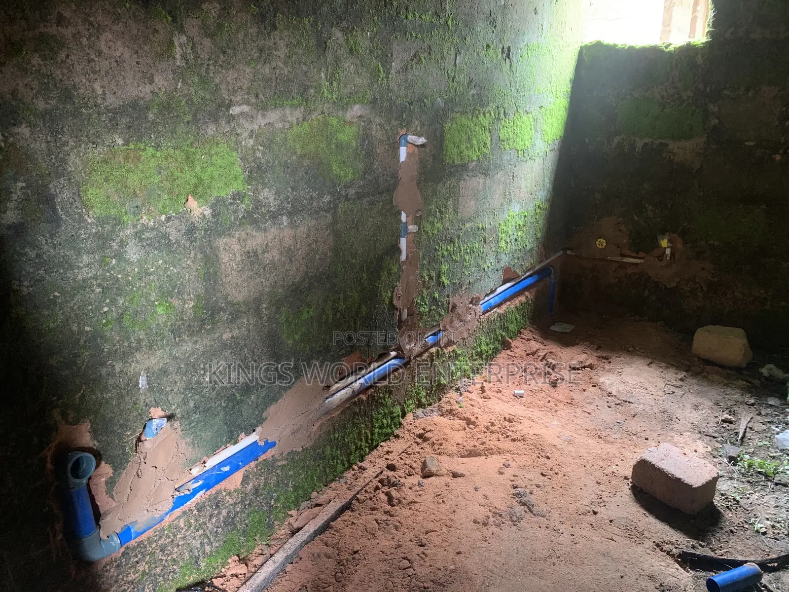 Plumber and Maintenance